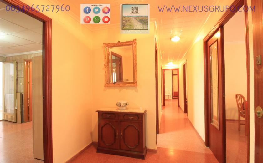 REAL ESTATE, GRUPO NEXUS, RENT APARTMENT FOR THE WHOLE YEAR in Nexus Grupo