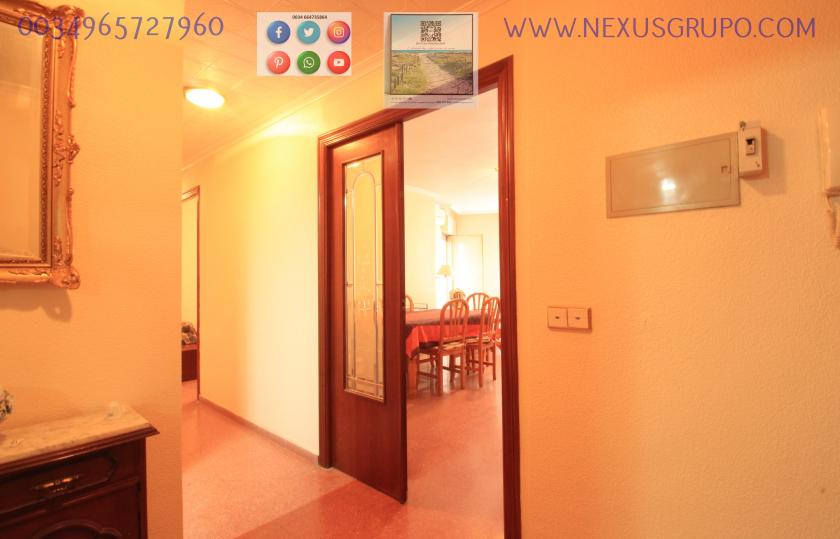 REAL ESTATE, GRUPO NEXUS, RENT APARTMENT FOR THE WHOLE YEAR in Nexus Grupo