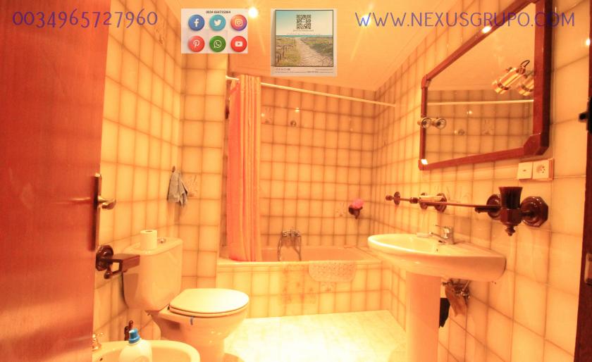 REAL ESTATE, GRUPO NEXUS, RENT APARTMENT FOR THE WHOLE YEAR in Nexus Grupo