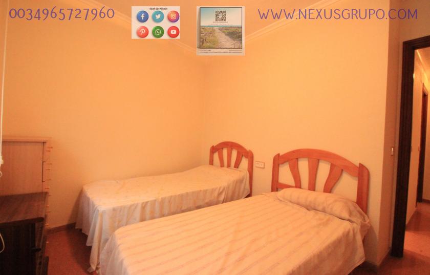 REAL ESTATE, GRUPO NEXUS, RENT APARTMENT FOR THE WHOLE YEAR in Nexus Grupo