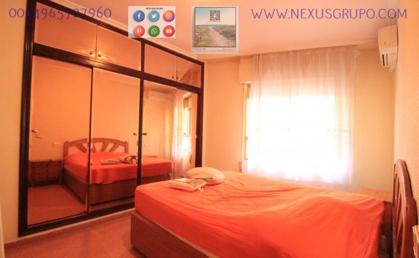 REAL ESTATE, GRUPO NEXUS, RENT APARTMENT FOR THE WHOLE YEAR in Nexus Grupo