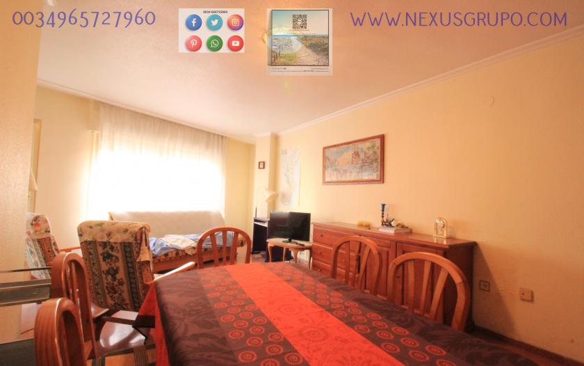 REAL ESTATE, GRUPO NEXUS, RENT APARTMENT FOR THE WHOLE YEAR in Nexus Grupo