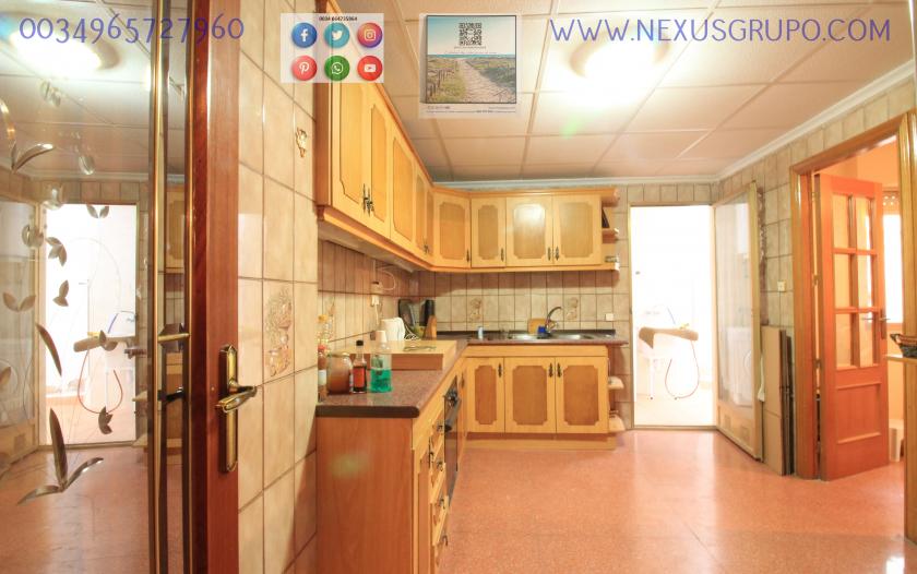 REAL ESTATE, GRUPO NEXUS, RENT APARTMENT FOR THE WHOLE YEAR in Nexus Grupo