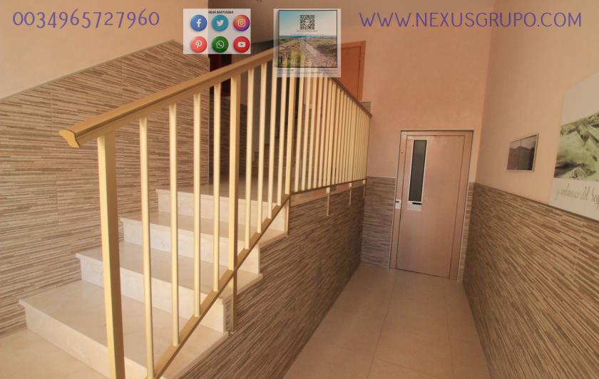 REAL ESTATE, GRUPO NEXUS, RENT APARTMENT FOR THE WHOLE YEAR in Nexus Grupo