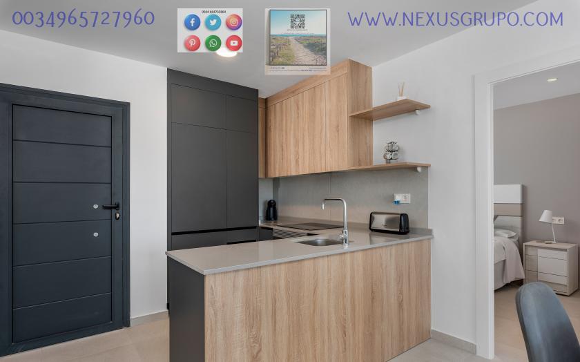 REAL ESTATE, GRUPO NEXUS, SELLS NEW CONSTRUCTION APARTMENT, IN ALGORFA in Nexus Grupo