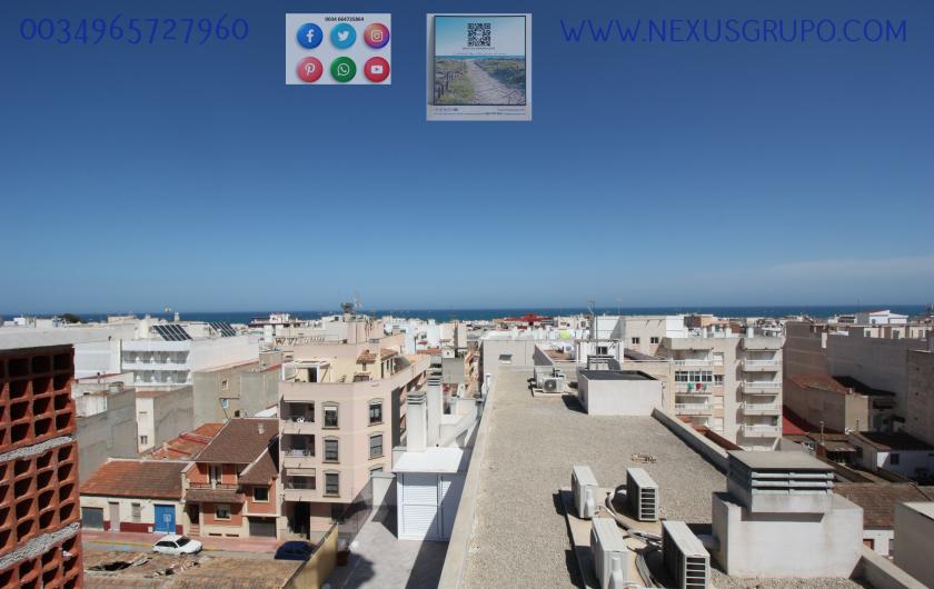 REAL ESTATE, GRUPO NEXUS, SELLS NEW CONSTRUCTION APARTMENTS IN THE CENTER OF GUARDAMAR DEL SEGURA in Nexus Grupo