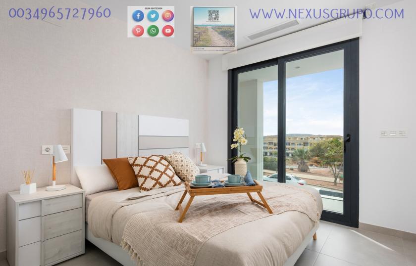 REAL ESTATE, GRUPO NEXUS, SELLS TOWNHOUSES IN BENIJÓFAR in Nexus Grupo