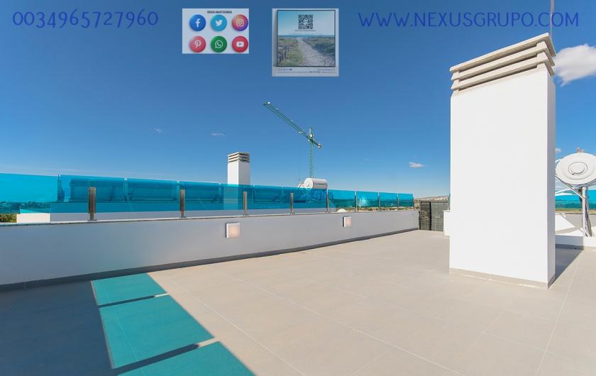 REAL ESTATE, GRUPO NEXUS, SELLS LUXURY VILLAS IN BENIJÓFAR in Nexus Grupo