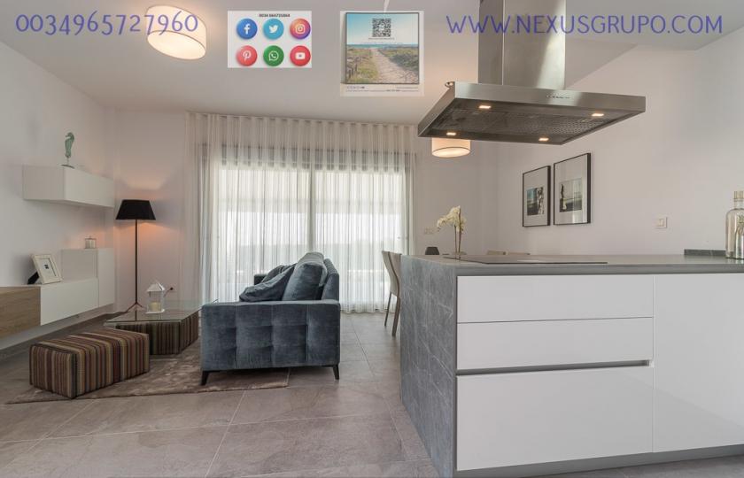 INMOBILIARIA, GRUPO NEXUS, VENDE 58 BUNGALOWS EN PLANTA BAJA Y ALTA, EN LOS BALCONES DE TORREVIEJA in Nexus Grupo