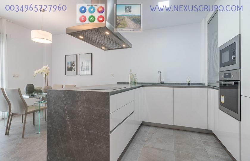 ONROEREND GOED, GRUPO NEXUS, VERKOOPT 58 BUNGALOWS OP DE BEGANE EN BOVENVERDIEPING, IN LOS BALCONES DE TORREVIEJA in Nexus Grupo