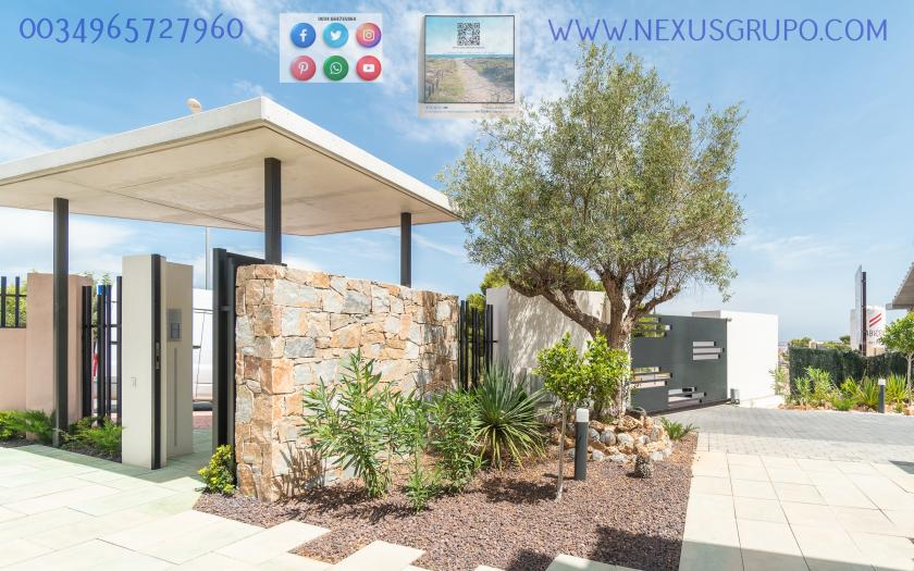 REAL ESTATE, GRUPO NEXUS, SELLS 58 GROUND AND UPPER FLOOR BUNGALOWS, IN LOS BALCONES DE TORREVIEJA in Nexus Grupo