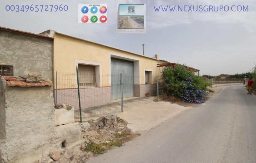 ONROEREND GOED, GRUPO NEXUS, HUUR MAGAZIJN IN LA HUERTA DE GUARDAMAR DEL SEGURA in Nexus Grupo