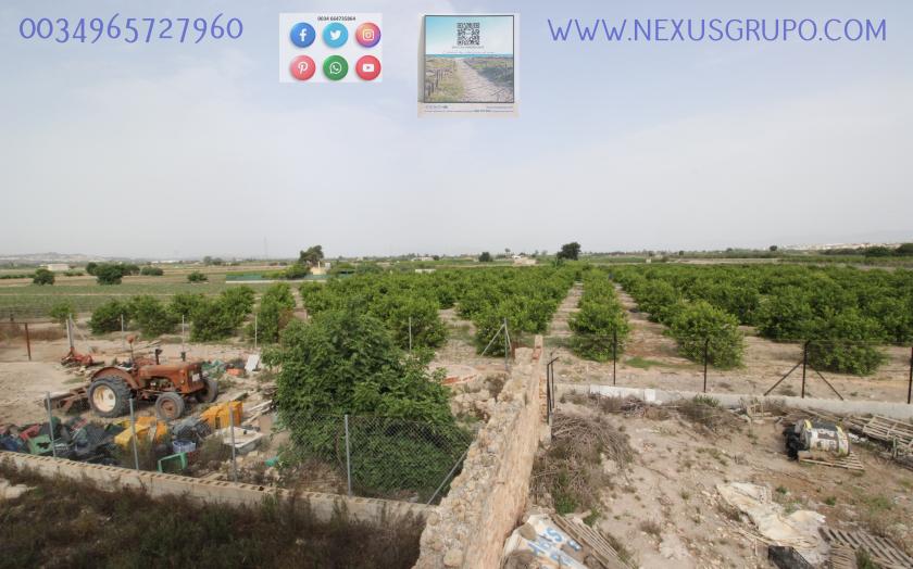 ONROEREND GOED, GRUPO NEXUS, HUUR MAGAZIJN IN LA HUERTA DE GUARDAMAR DEL SEGURA in Nexus Grupo