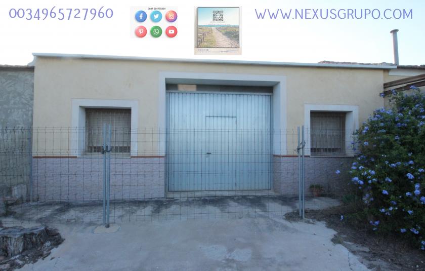 REAL ESTATE, GRUPO NEXUS, RENT WAREHOUSE IN LA HUERTA DE GUARDAMAR DEL SEGURA in Nexus Grupo