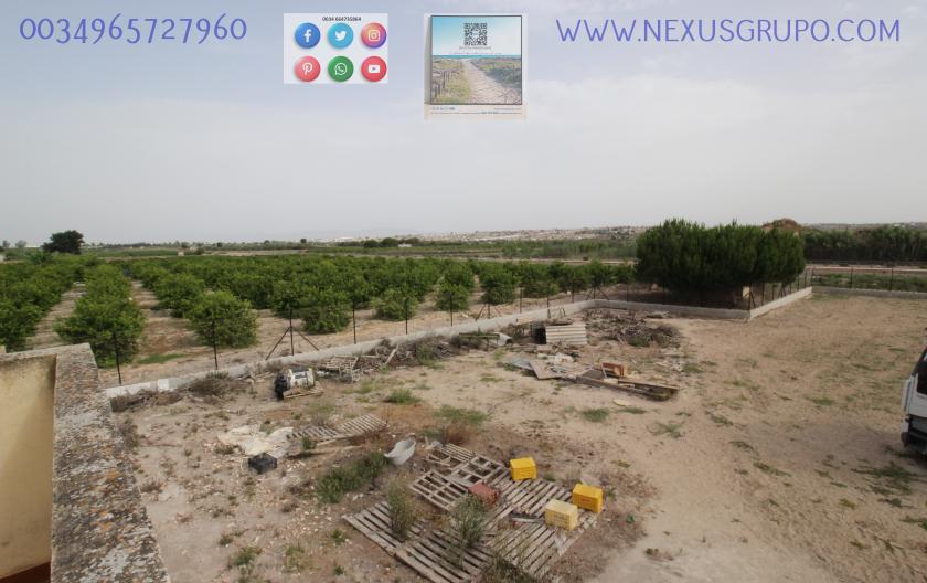 ONROEREND GOED, GRUPO NEXUS, HUUR MAGAZIJN IN LA HUERTA DE GUARDAMAR DEL SEGURA in Nexus Grupo