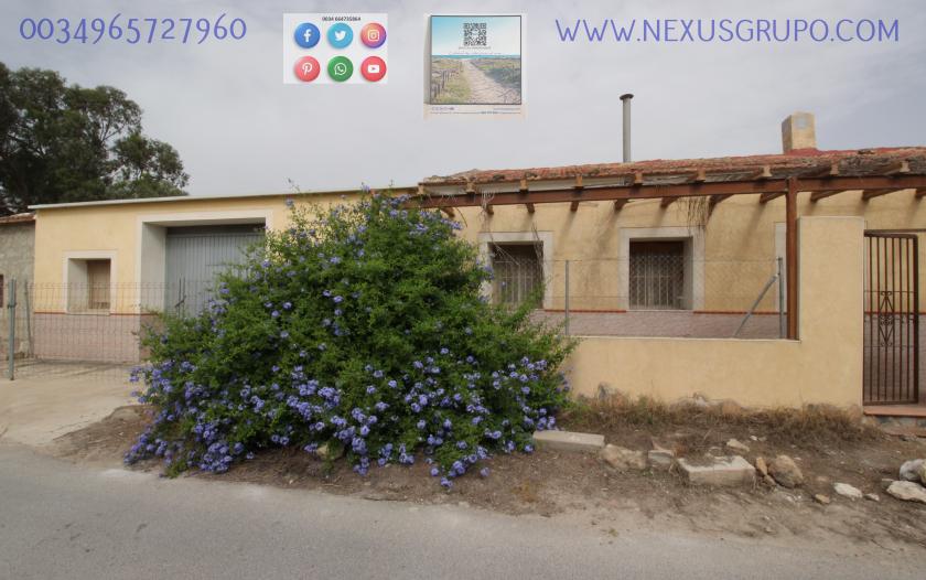 ONROEREND GOED, GRUPO NEXUS, HUUR MAGAZIJN IN LA HUERTA DE GUARDAMAR DEL SEGURA in Nexus Grupo