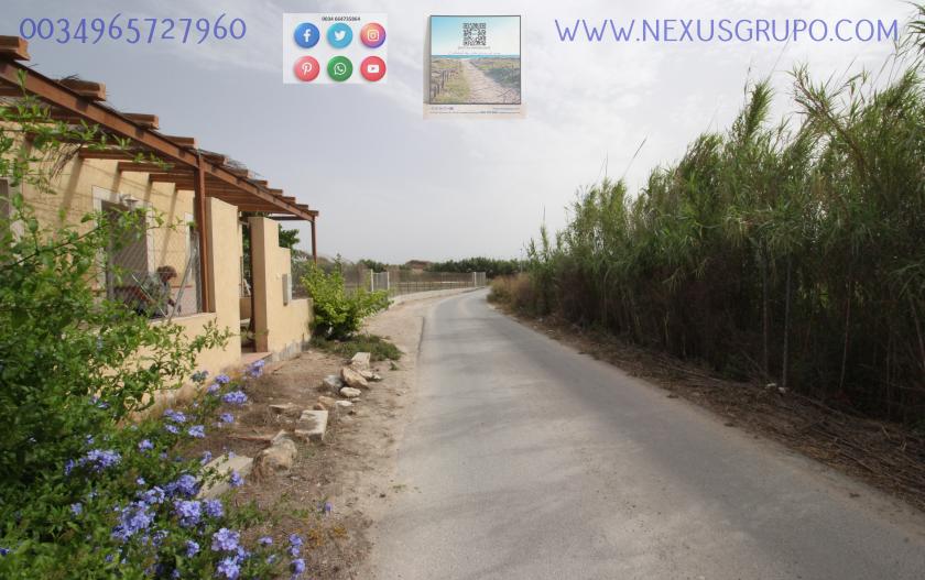 ONROEREND GOED, GRUPO NEXUS, HUUR MAGAZIJN IN LA HUERTA DE GUARDAMAR DEL SEGURA in Nexus Grupo