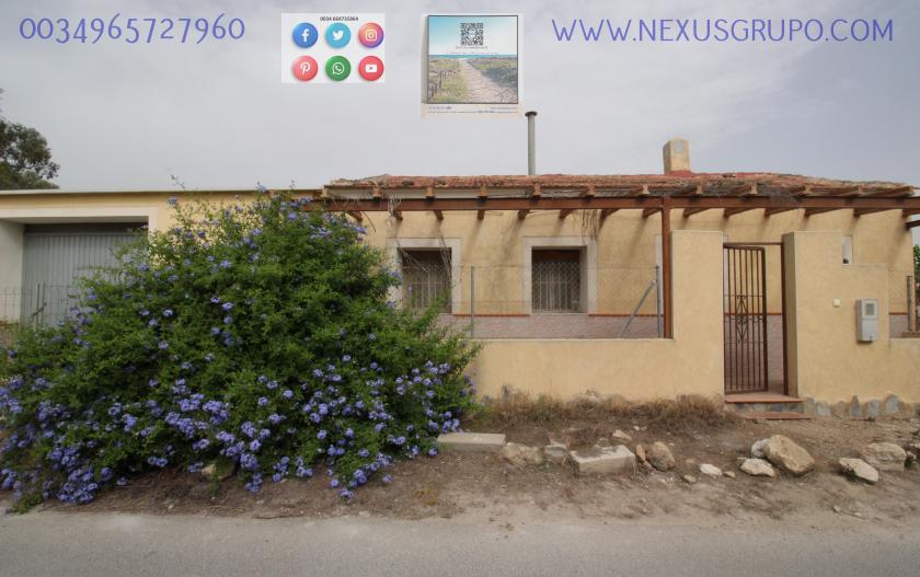 ONROEREND GOED, GRUPO NEXUS, HUUR MAGAZIJN IN LA HUERTA DE GUARDAMAR DEL SEGURA in Nexus Grupo