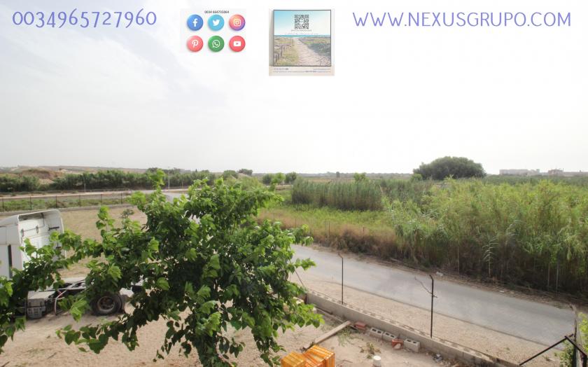 ONROEREND GOED, GRUPO NEXUS, HUUR MAGAZIJN IN LA HUERTA DE GUARDAMAR DEL SEGURA in Nexus Grupo