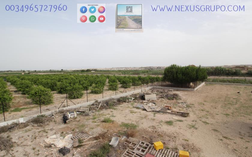 ONROEREND GOED, GRUPO NEXUS, HUUR MAGAZIJN IN LA HUERTA DE GUARDAMAR DEL SEGURA in Nexus Grupo