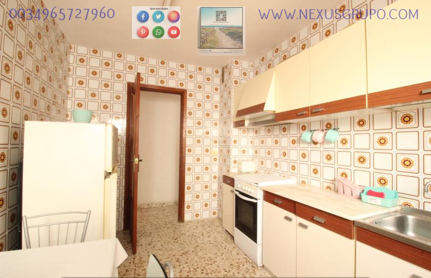 REAL ESTATE, GRUPO NEXUS RENT APARTMENT FOR THE WHOLE YEAR IN CALLE MAR BALTICO DE TORREVIEJA in Nexus Grupo