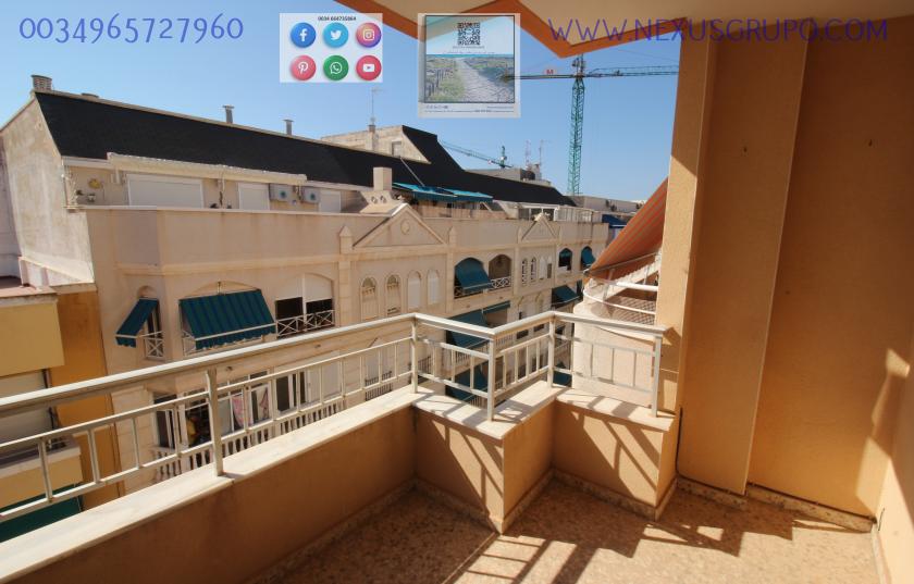 REAL ESTATE, GRUPO NEXUS RENT APARTMENT FOR THE WHOLE YEAR IN CALLE MAR BALTICO DE TORREVIEJA in Nexus Grupo