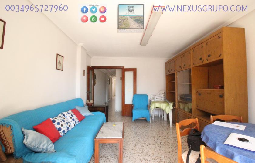 REAL ESTATE, GRUPO NEXUS RENT APARTMENT FOR THE WHOLE YEAR IN CALLE MAR BALTICO DE TORREVIEJA in Nexus Grupo