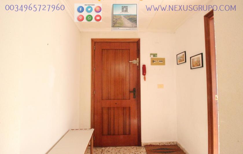 REAL ESTATE, GRUPO NEXUS RENT APARTMENT FOR THE WHOLE YEAR IN CALLE MAR BALTICO DE TORREVIEJA in Nexus Grupo