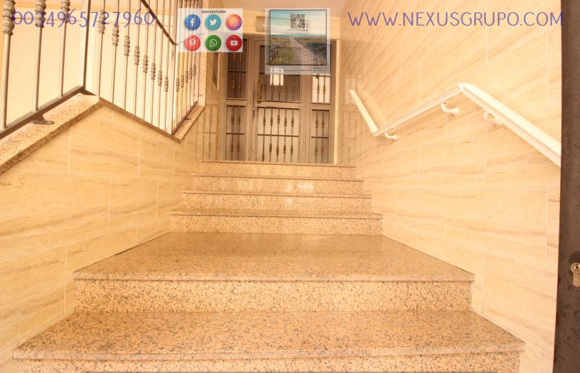 REAL ESTATE, GRUPO NEXUS RENT APARTMENT FOR THE WHOLE YEAR IN CALLE MAR BALTICO DE TORREVIEJA in Nexus Grupo