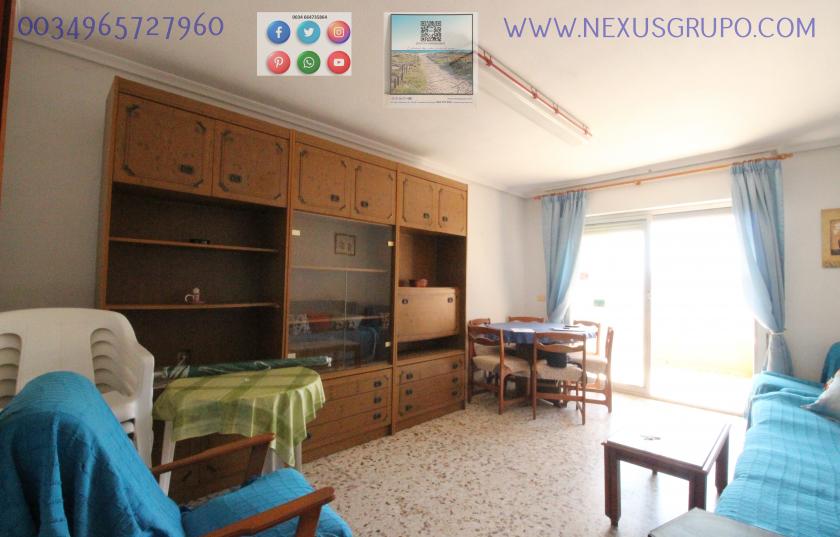 REAL ESTATE, GRUPO NEXUS RENT APARTMENT FOR THE WHOLE YEAR IN CALLE MAR BALTICO DE TORREVIEJA in Nexus Grupo