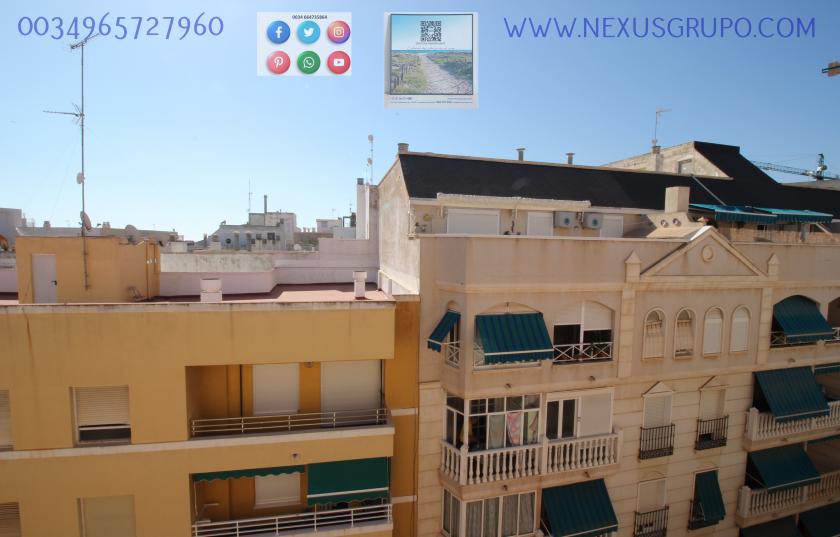 INMOBILIARIA, GRUPO NEXUS ALQUILA PISO PARA TODO EL AÑO EN CALLE MAR BÁLTICO DE TORREVIEJA in Nexus Grupo