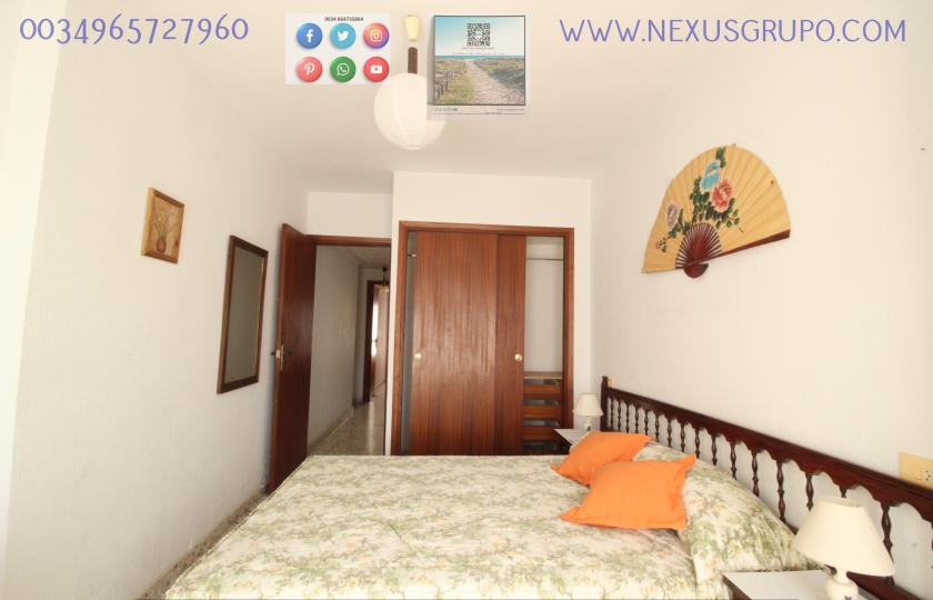 REAL ESTATE, GRUPO NEXUS RENT APARTMENT FOR THE WHOLE YEAR IN CALLE MAR BALTICO DE TORREVIEJA in Nexus Grupo