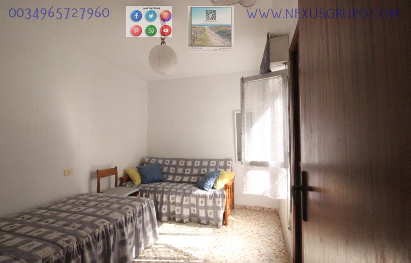 REAL ESTATE, GRUPO NEXUS RENT APARTMENT FOR THE WHOLE YEAR IN CALLE MAR BALTICO DE TORREVIEJA in Nexus Grupo