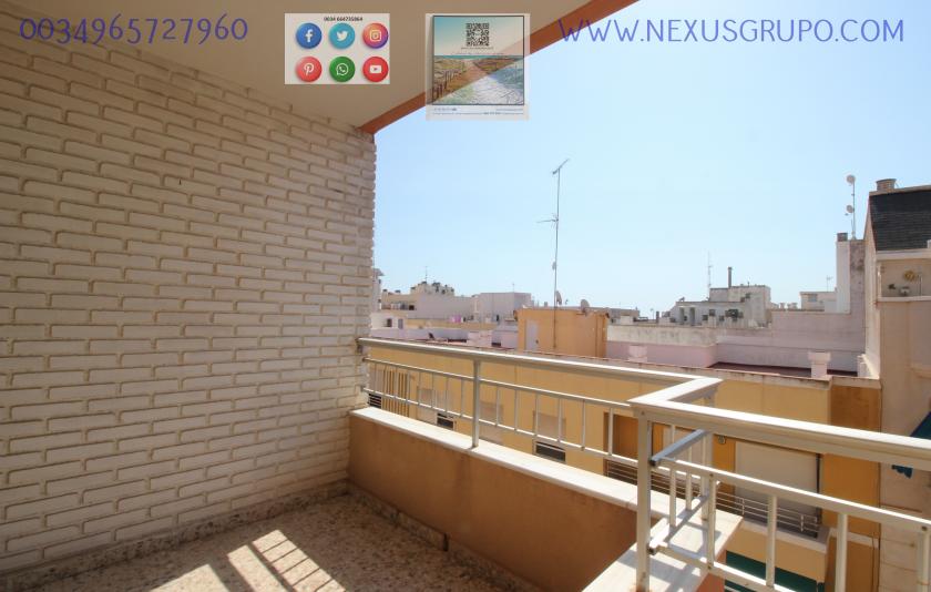 REAL ESTATE, GRUPO NEXUS RENT APARTMENT FOR THE WHOLE YEAR IN CALLE MAR BALTICO DE TORREVIEJA in Nexus Grupo