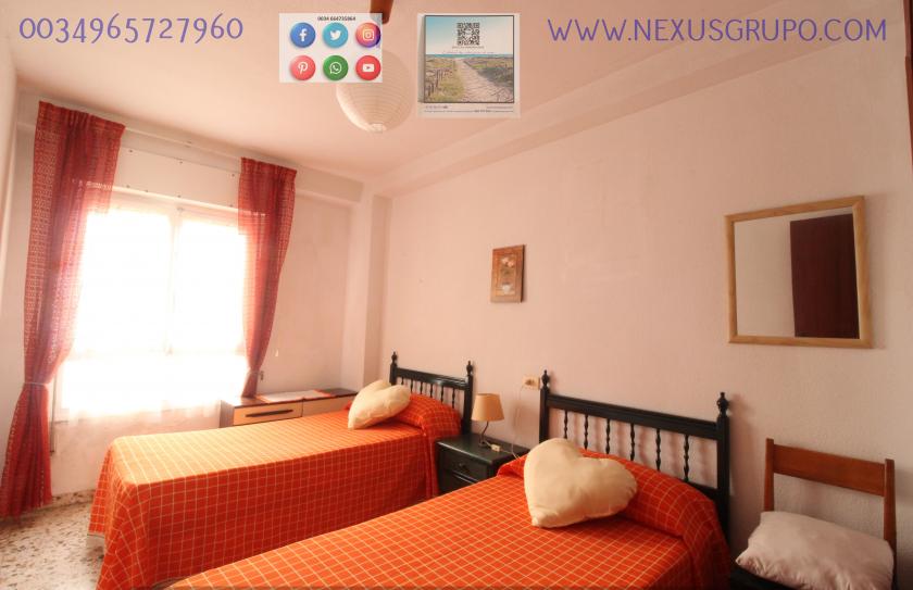 REAL ESTATE, GRUPO NEXUS RENT APARTMENT FOR THE WHOLE YEAR IN CALLE MAR BALTICO DE TORREVIEJA in Nexus Grupo