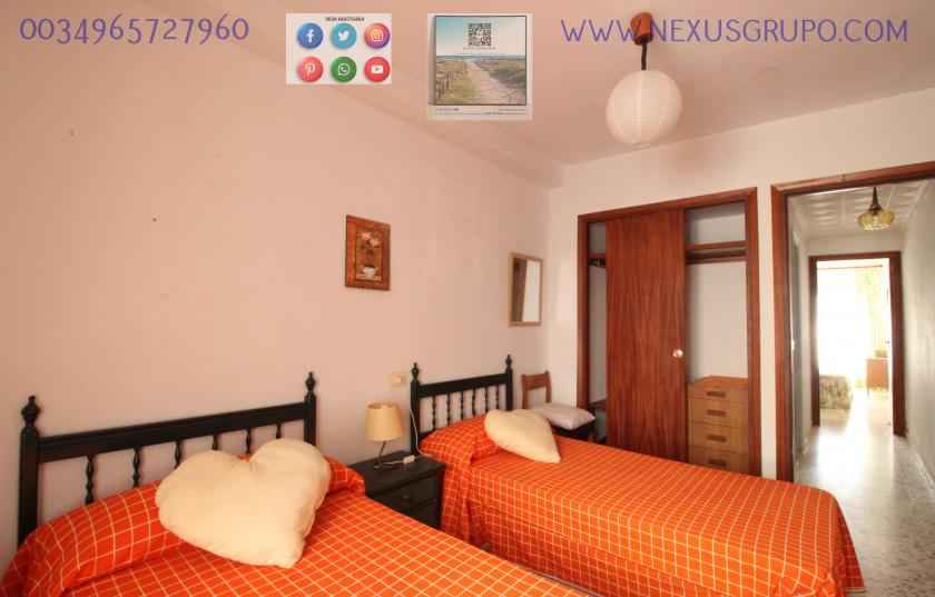 REAL ESTATE, GRUPO NEXUS RENT APARTMENT FOR THE WHOLE YEAR IN CALLE MAR BALTICO DE TORREVIEJA in Nexus Grupo