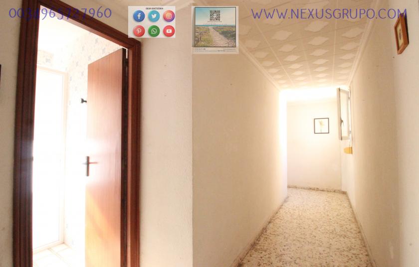 REAL ESTATE, GRUPO NEXUS RENT APARTMENT FOR THE WHOLE YEAR IN CALLE MAR BALTICO DE TORREVIEJA in Nexus Grupo