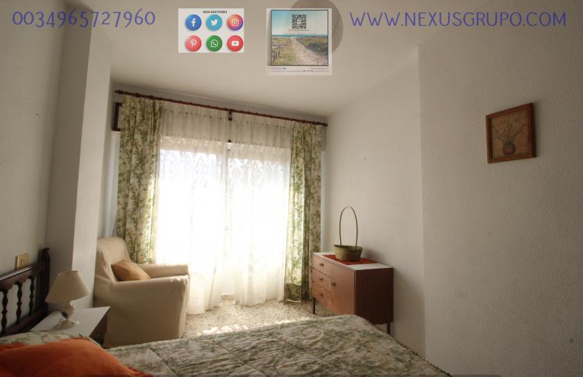 REAL ESTATE, GRUPO NEXUS RENT APARTMENT FOR THE WHOLE YEAR IN CALLE MAR BALTICO DE TORREVIEJA in Nexus Grupo