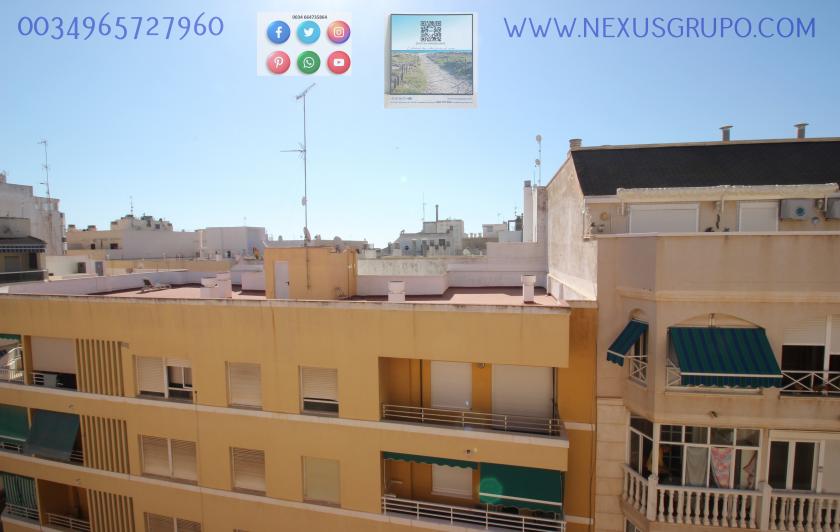 INMOBILIARIA, GRUPO NEXUS ALQUILA PISO PARA TODO EL AÑO EN CALLE MAR BÁLTICO DE TORREVIEJA in Nexus Grupo