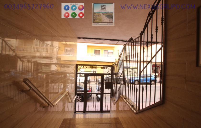 REAL ESTATE, GRUPO NEXUS RENT APARTMENT FOR THE WHOLE YEAR IN CALLE MAR BALTICO DE TORREVIEJA in Nexus Grupo