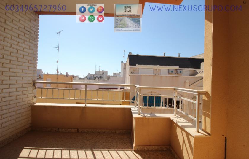 ONROEREND GOED, GRUPO NEXUS HUUR APPARTEMENT VOOR HET HELE JAAR IN CALLE MAR BALTICO DE TORREVIEJA in Nexus Grupo