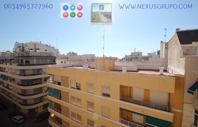 INMOBILIARIA, GRUPO NEXUS ALQUILA PISO PARA TODO EL AÑO EN CALLE MAR BÁLTICO DE TORREVIEJA in Nexus Grupo