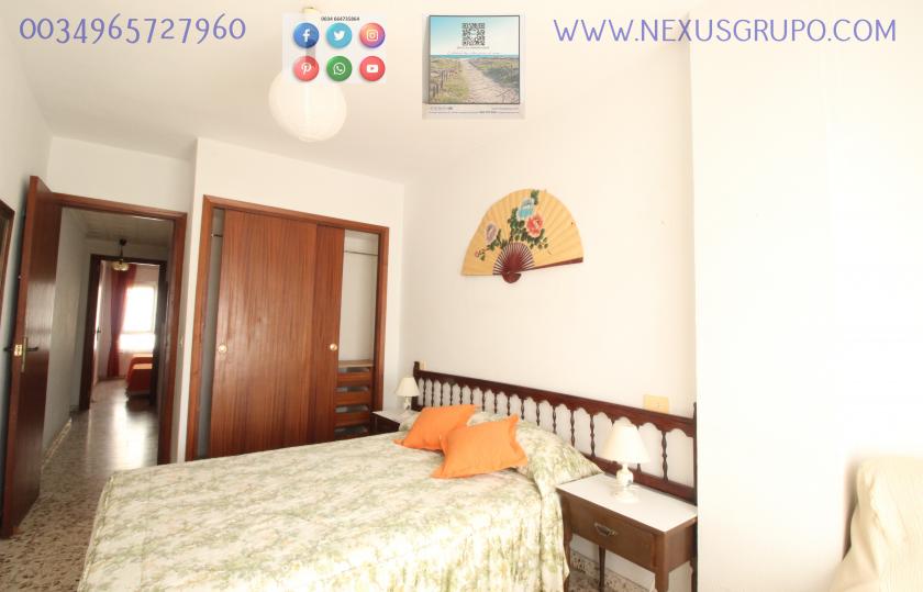 REAL ESTATE, GRUPO NEXUS RENT APARTMENT FOR THE WHOLE YEAR IN CALLE MAR BALTICO DE TORREVIEJA in Nexus Grupo