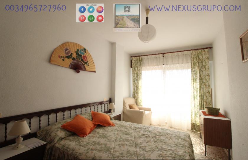 REAL ESTATE, GRUPO NEXUS RENT APARTMENT FOR THE WHOLE YEAR IN CALLE MAR BALTICO DE TORREVIEJA in Nexus Grupo