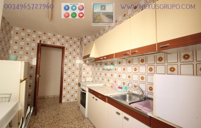 REAL ESTATE, GRUPO NEXUS RENT APARTMENT FOR THE WHOLE YEAR IN CALLE MAR BALTICO DE TORREVIEJA in Nexus Grupo