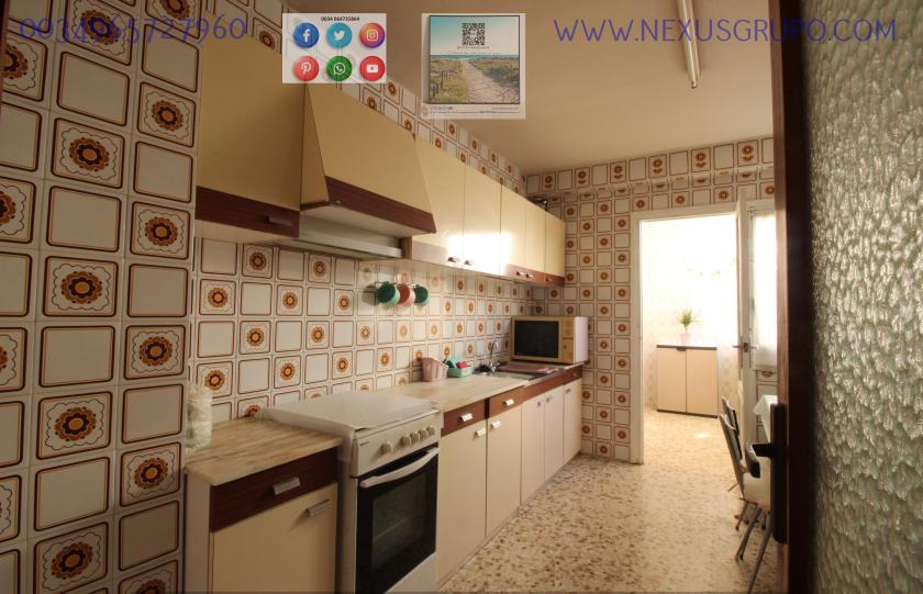 REAL ESTATE, GRUPO NEXUS RENT APARTMENT FOR THE WHOLE YEAR IN CALLE MAR BALTICO DE TORREVIEJA in Nexus Grupo