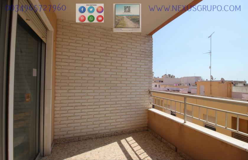 REAL ESTATE, GRUPO NEXUS RENT APARTMENT FOR THE WHOLE YEAR IN CALLE MAR BALTICO DE TORREVIEJA in Nexus Grupo