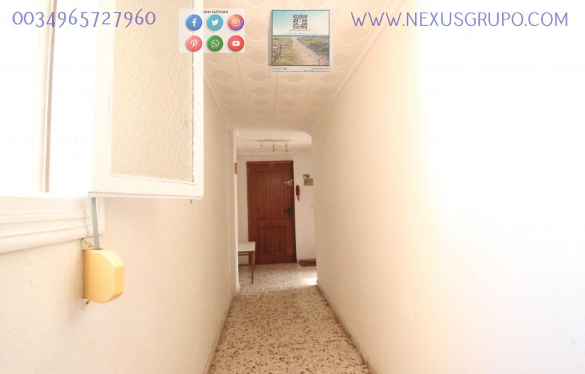 REAL ESTATE, GRUPO NEXUS RENT APARTMENT FOR THE WHOLE YEAR IN CALLE MAR BALTICO DE TORREVIEJA in Nexus Grupo