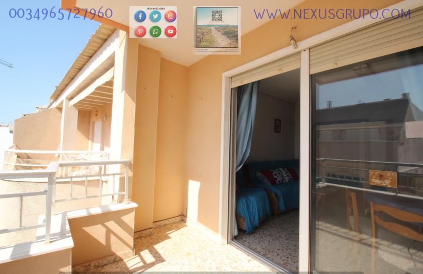 INMOBILIARIA, GRUPO NEXUS ALQUILA PISO PARA TODO EL AÑO EN CALLE MAR BÁLTICO DE TORREVIEJA in Nexus Grupo