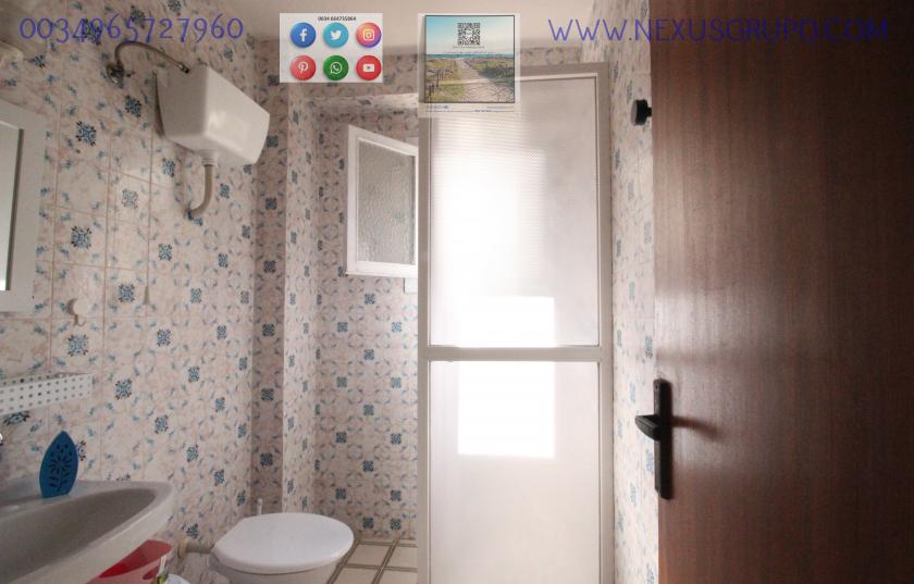 REAL ESTATE, GRUPO NEXUS RENT APARTMENT FOR THE WHOLE YEAR IN CALLE MAR BALTICO DE TORREVIEJA in Nexus Grupo